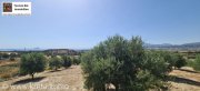 Kamilari Traumhaftes Grundstück mit 360° Panoramablick auf das lybische Meer und den höchsten Berg Kretas, den Psiloritis Grundstück